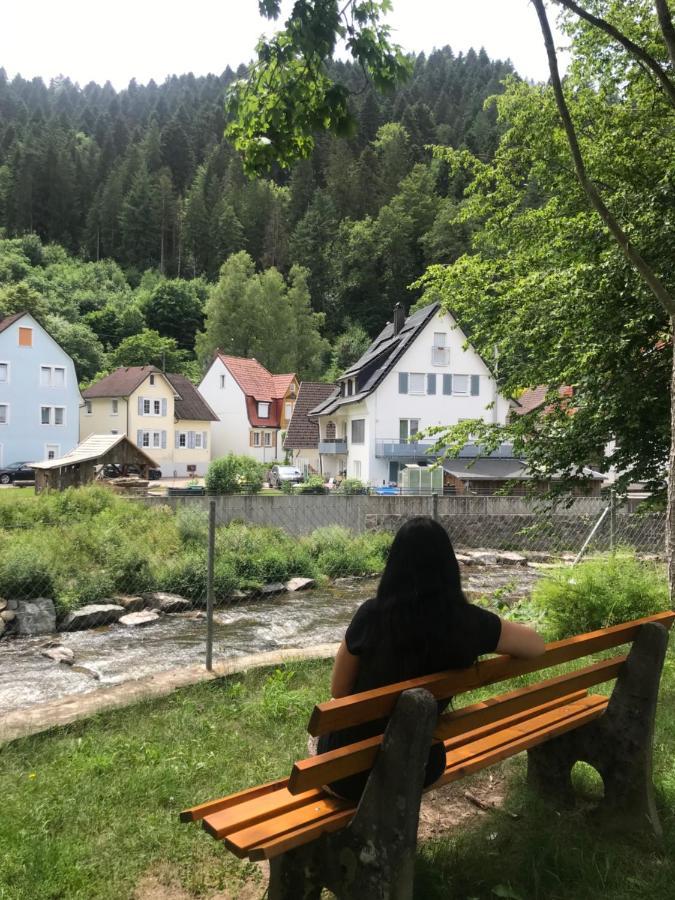 S-Villa Apartments Im Schwarzwald شيلتاخ المظهر الخارجي الصورة