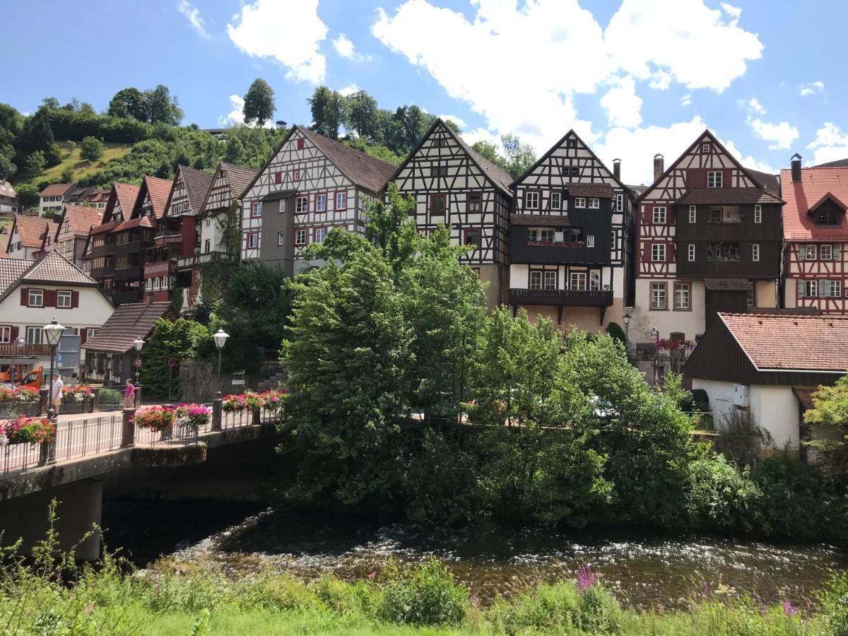 S-Villa Apartments Im Schwarzwald شيلتاخ المظهر الخارجي الصورة