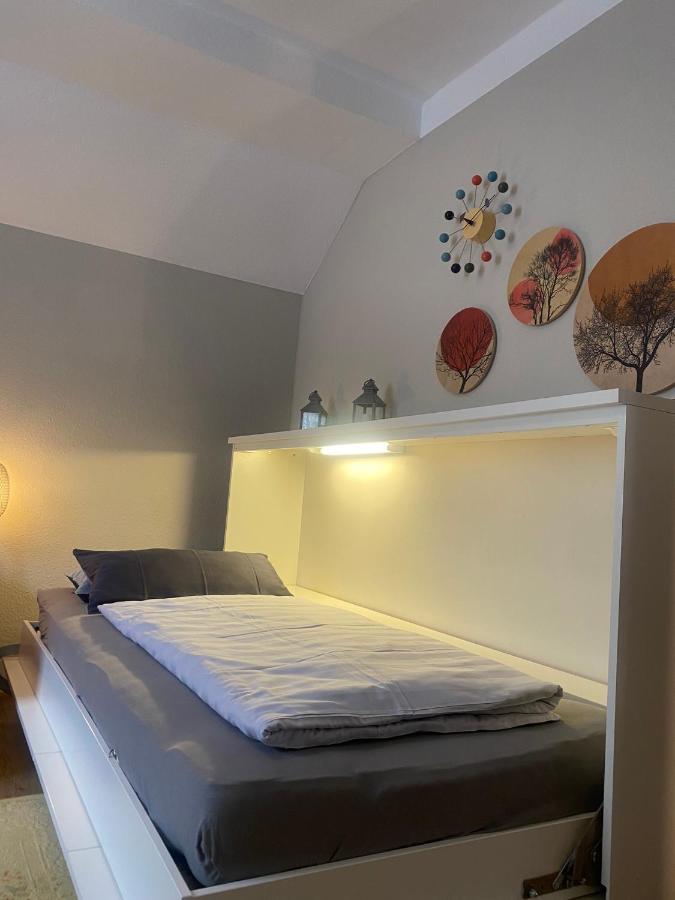 S-Villa Apartments Im Schwarzwald شيلتاخ المظهر الخارجي الصورة