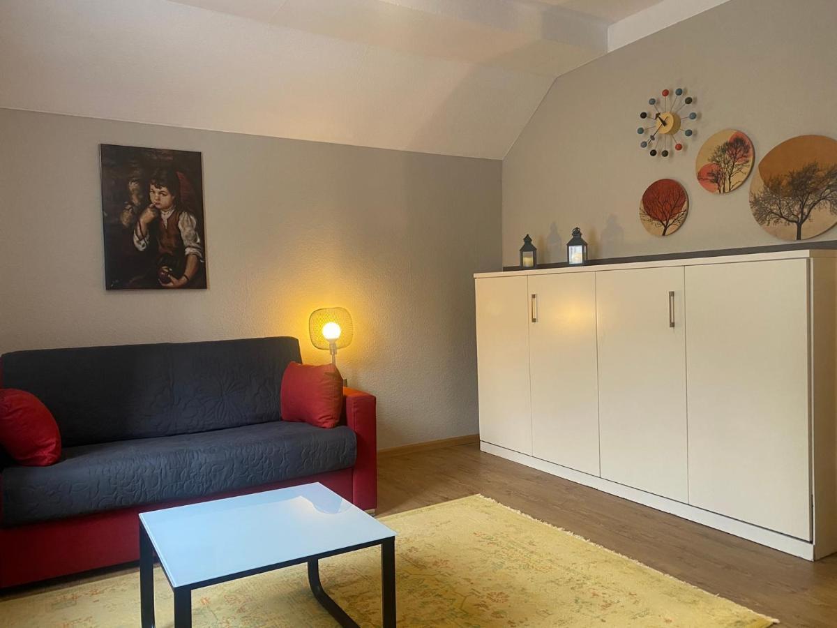 S-Villa Apartments Im Schwarzwald شيلتاخ المظهر الخارجي الصورة