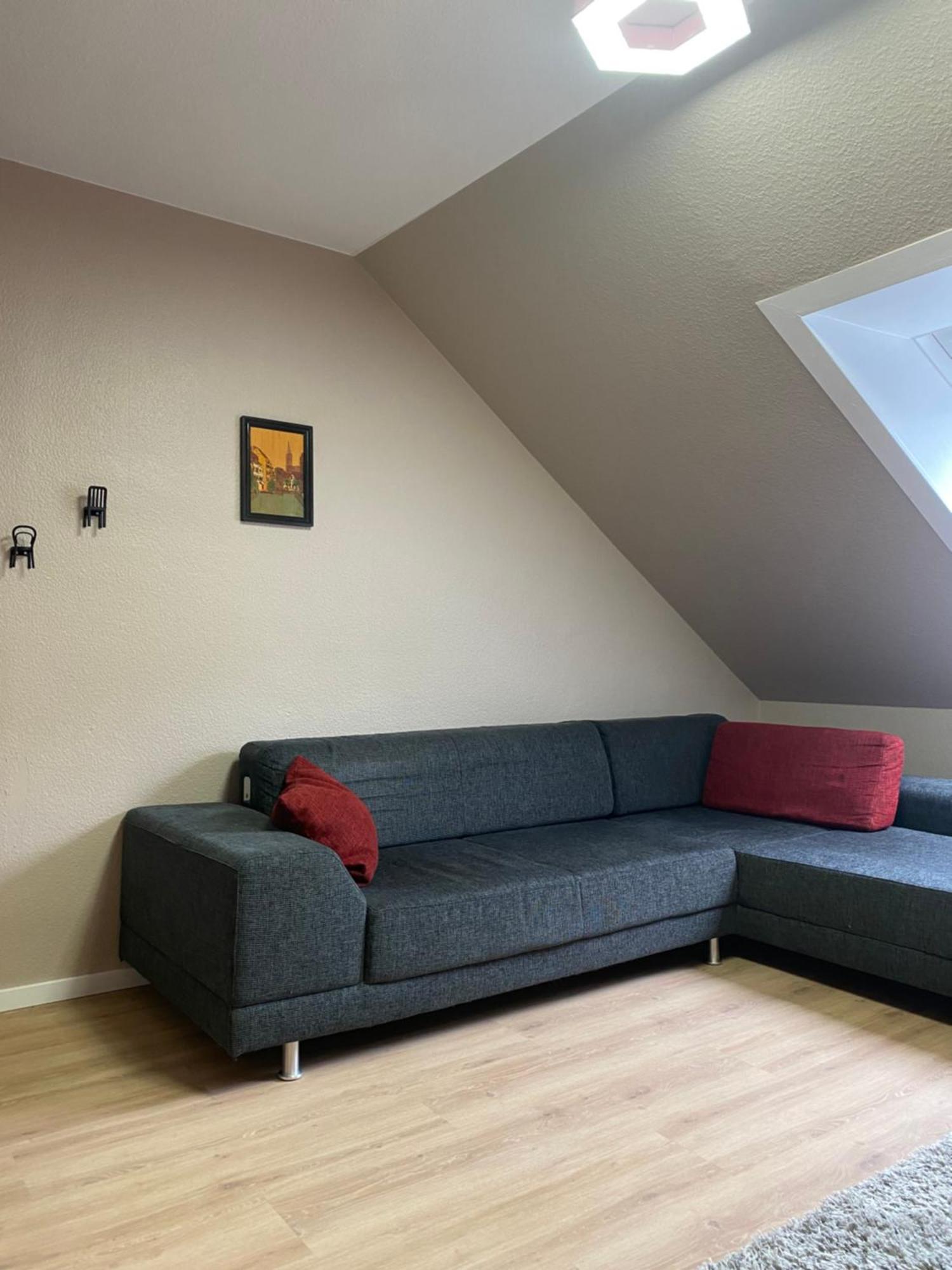 S-Villa Apartments Im Schwarzwald شيلتاخ المظهر الخارجي الصورة