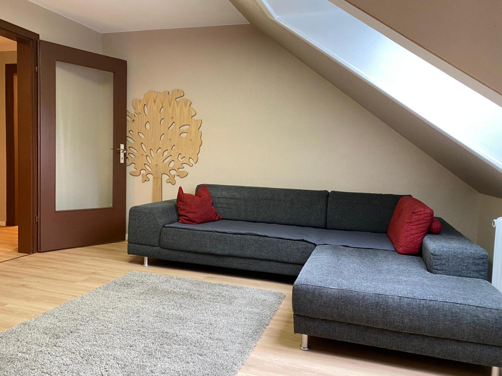 S-Villa Apartments Im Schwarzwald شيلتاخ المظهر الخارجي الصورة