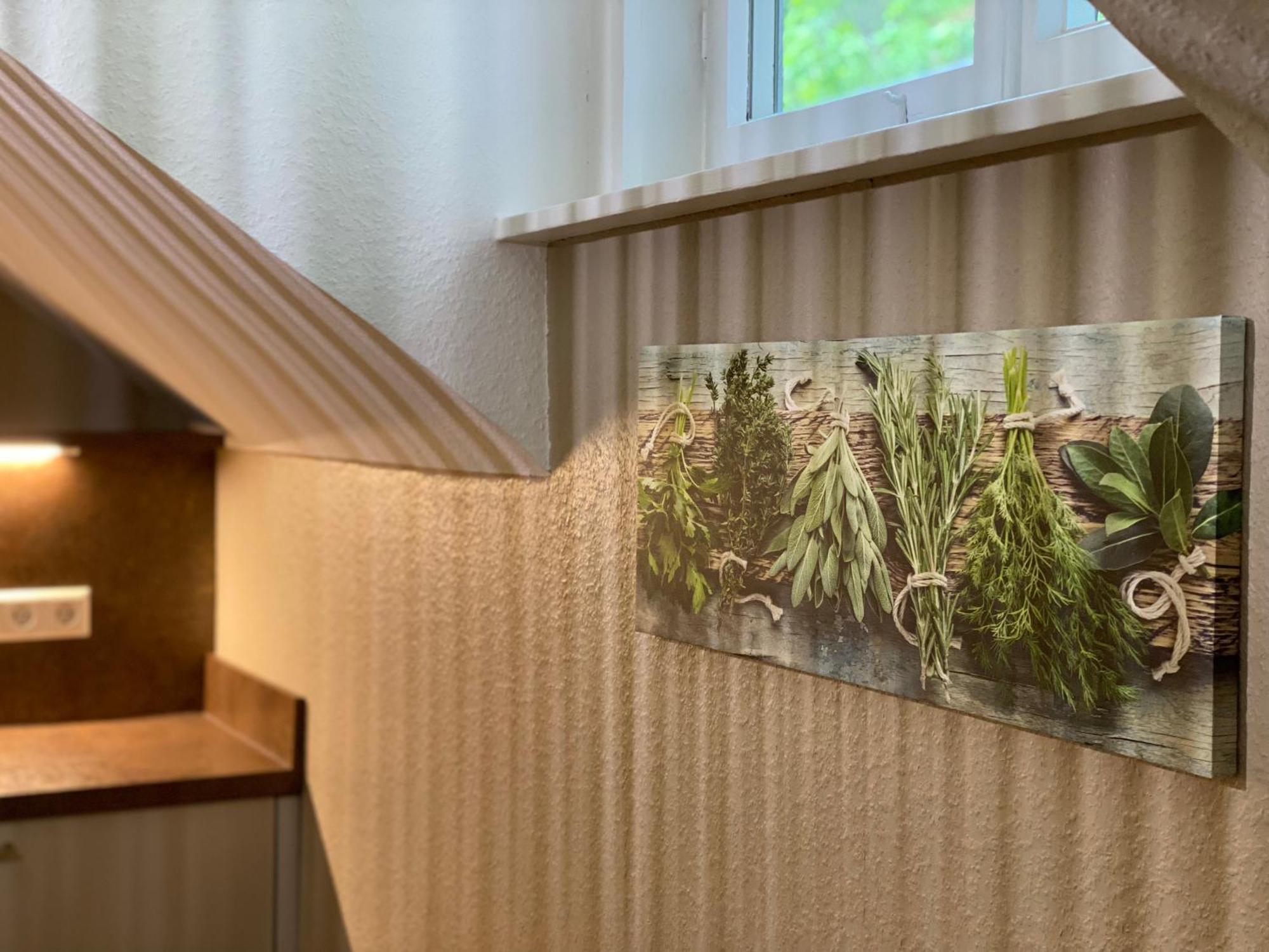 S-Villa Apartments Im Schwarzwald شيلتاخ المظهر الخارجي الصورة